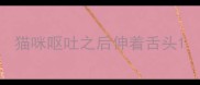 猫咪呕吐之后伸着舌头