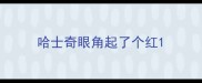 哈士奇眼角起了个红