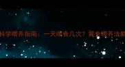 拉布拉多幼犬科学喂养指南一天喂食几次黄金喂养法助幼犬健康成长