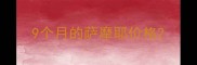 9个月的萨摩耶价格