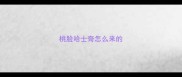 桃脸哈士奇怎么来的