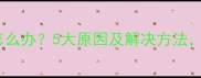 猫咪尾巴抖动怎么办5大原因及解决方法养猫人必看