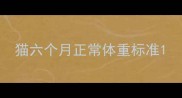 猫六个月正常体重标准