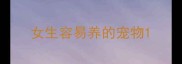 女生容易养的宠物
