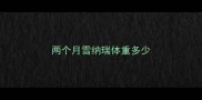 两个月雪纳瑞体重多少
