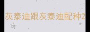 灰泰迪跟灰泰迪配种