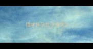 猫咪怀孕肚子多大