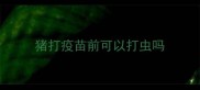 猪打疫苗前可以打虫吗