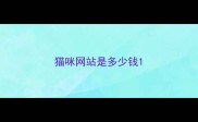 猫咪网站是多少钱