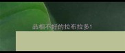 品相不好的拉布拉多