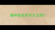 猫咪驱虫药多久见效