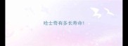 哈士奇有多长寿命