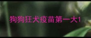 狗狗狂犬疫苗第一大