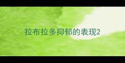 拉布拉多抑郁的表现