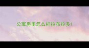 公寓房里怎么样拉布拉多