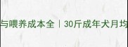 哈士奇每日食量与喂养成本全30斤成年犬月均花费不到300元
