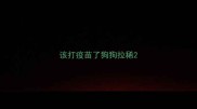 该打疫苗了狗狗拉稀