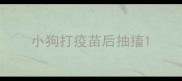 小狗打疫苗后抽搐