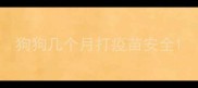 狗狗几个月打疫苗安全