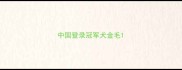 中国登录冠军犬金毛