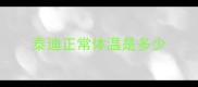 泰迪正常体温是多少