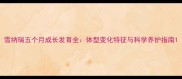 雪纳瑞五个月成长发育全体型变化特征与科学养护指南