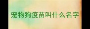 宠物狗疫苗叫什么名字