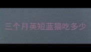 三个月英短蓝猫吃多少