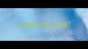 小狗狗为什么拉稀