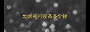 幼犬初打疫苗多少钱