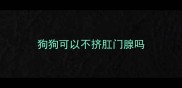 狗狗可以不挤肛门腺吗
