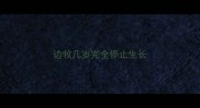 边牧几岁完全停止生长