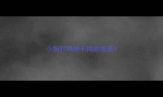 小狗打两种不同的疫苗