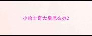小哈士奇太臭怎么办