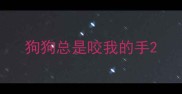 狗狗总是咬我的手