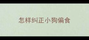 怎样纠正小狗偏食