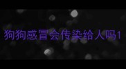 狗狗感冒会传染给人吗