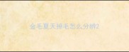 金毛夏天掉毛怎么分辨