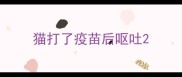 猫打了疫苗后呕吐