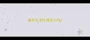 拉布拉多比德牧大吗
