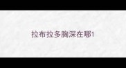拉布拉多胸深在哪
