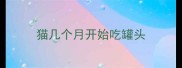 猫几个月开始吃罐头