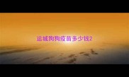 运城狗狗疫苗多少钱