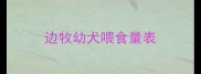 边牧幼犬喂食量表