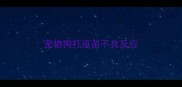 宠物狗打疫苗不良反应