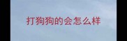 打狗狗的会怎么样
