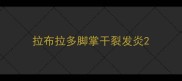拉布拉多脚掌干裂发炎
