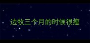 边牧三个月的时候很瘦