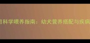拉布拉多2月科学喂养指南幼犬营养搭配与疾病预防全攻略