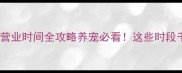 24小时宠物医院营业时间全攻略养宠必看这些时段千万别白跑一趟